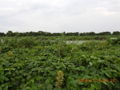 DSCN4721.JPG