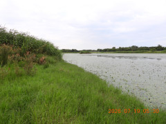 DSCN4723.JPG