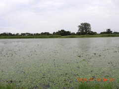 DSCN4724.JPG