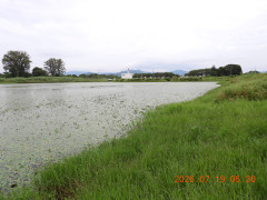 DSCN4725.JPG