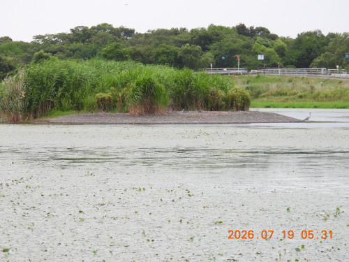 DSCN4727.JPG