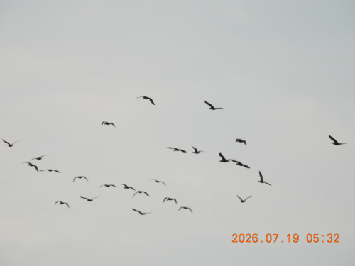 DSCN4728.JPG