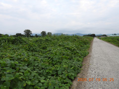 DSCN4722.JPG