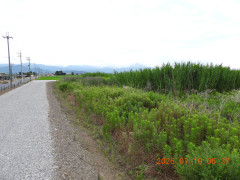 DSCN4729.JPG
