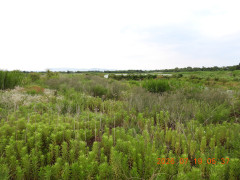 DSCN4730.JPG