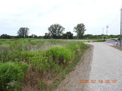 DSCN4731.JPG