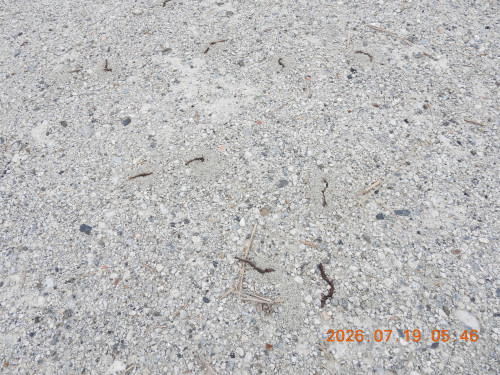 DSCN4735.JPG