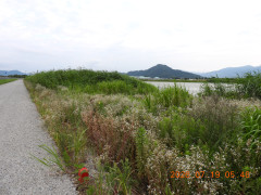 DSCN4736.JPG