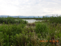 DSCN4737.JPG