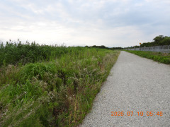 DSCN4738.JPG