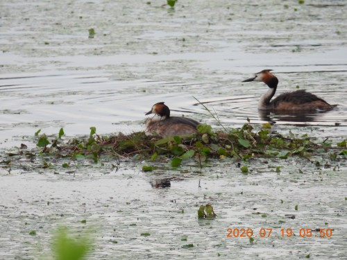 DSCN4740.JPG