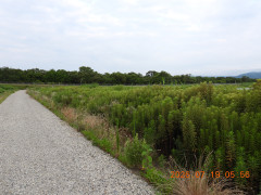 DSCN4743.JPG