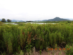 DSCN4744.JPG