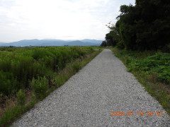 DSCN4745.JPG