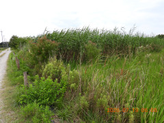 DSCN4746.JPG