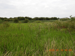 DSCN4747.JPG