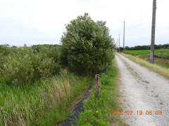 DSCN4748.JPG