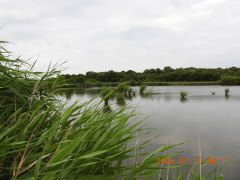 DSCN4750.JPG