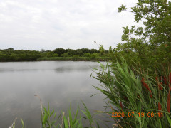 DSCN4751.JPG