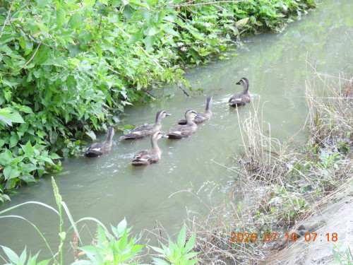 DSCN4756.JPG