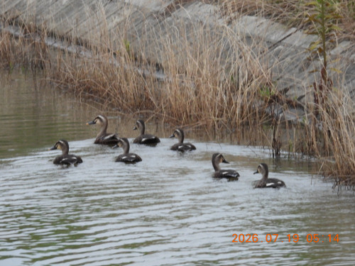 DSCN4719.JPG