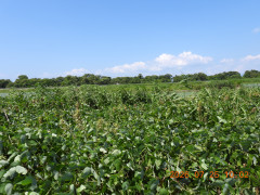 DSCN4797.JPG