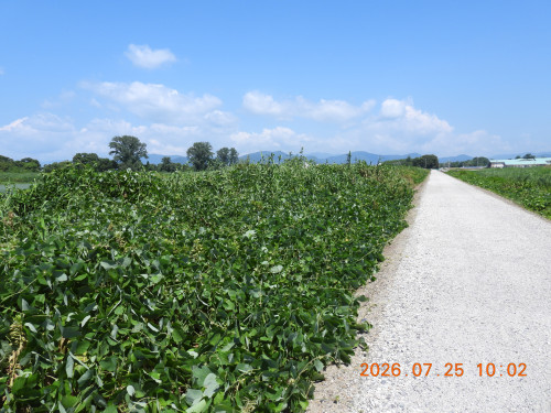 DSCN4798.JPG