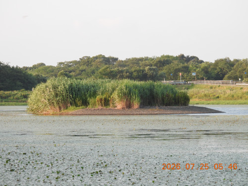 DSCN4763.JPG