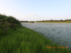 DSCN4764.JPG