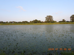 DSCN4765.JPG