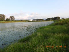 DSCN4766.JPG
