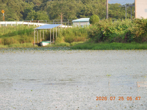 DSCN4767.JPG