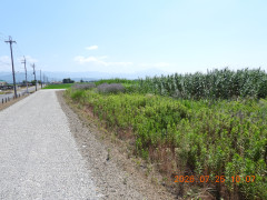 DSCN4805.JPG