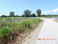 DSCN4807.JPG