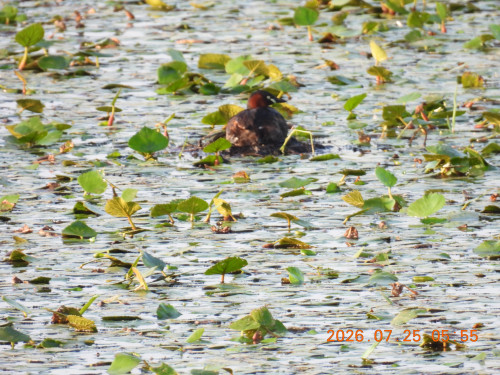 DSCN4770.JPG