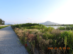 DSCN4775.JPG