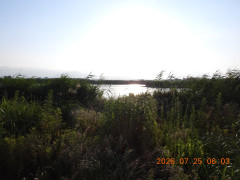 DSCN4776.JPG