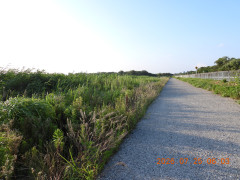 DSCN4777.JPG