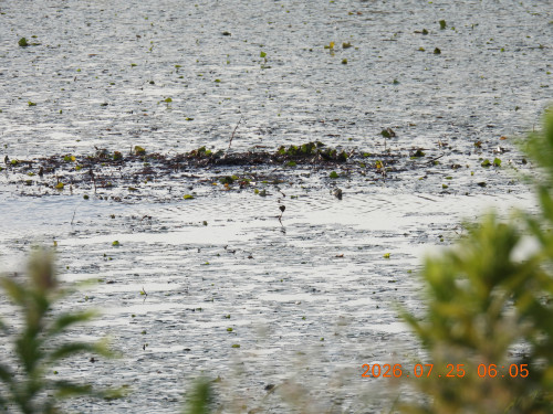DSCN4780.JPG