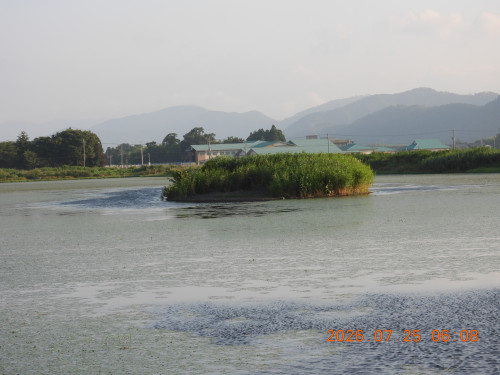 DSCN4781.JPG
