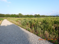 DSCN4785.JPG