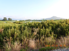 DSCN4786.JPG