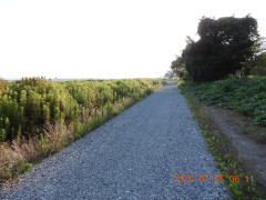 DSCN4787.JPG
