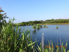 DSCN4790.JPG