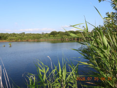 DSCN4791.JPG
