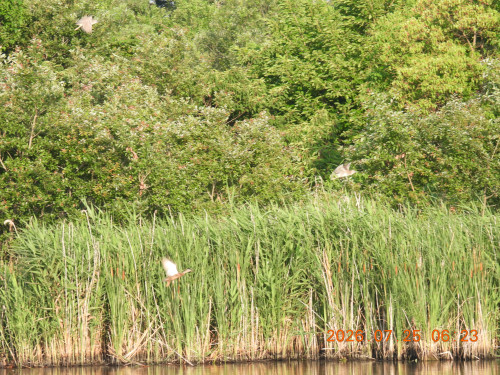 DSCN4789.JPG
