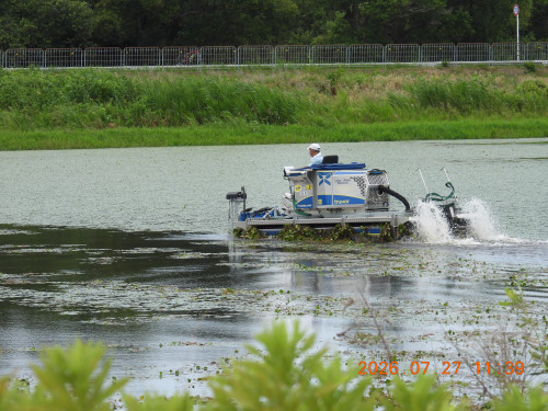 DSCN4811.JPG