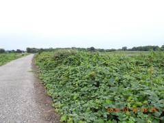 DSCN4836.JPG
