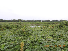 DSCN4837.JPG