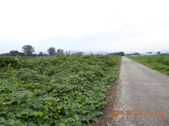 DSCN4838.JPG